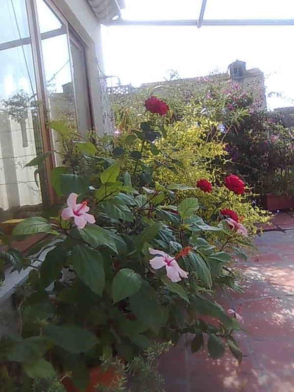 B&B Ap Пьяно-ди-Сорренто Экстерьер фото